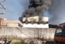 54a79fd0 8c9d 46a4 a1b9 056673a10bbb