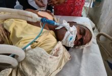 5c69a76b c950 44d8 919b 0add110e8f0b