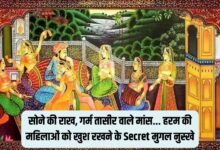 Mughal History मुगल मर्दाना राते रंगीन करने के लिए करते थे यह काम जानिए ऐसा कौनसा नुस्खा इस्तेमाल करते की एक रात मे इतनी रानियों 18 9f3fe01b d984 4045 a64a 31551c5bc0be