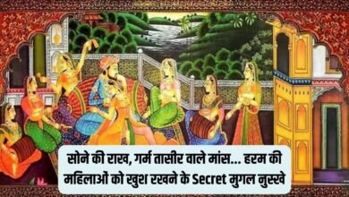 Mughal History मुगल मर्दाना राते रंगीन करने के लिए करते थे यह काम जानिए ऐसा कौनसा नुस्खा इस्तेमाल करते की एक रात मे इतनी रानियों 15 9f3fe01b d984 4045 a64a 31551c5bc0be