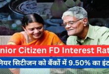Senior Citizen FD Rates सीनियर सिटीजन को दे रहे ये दो बैंक FD पर 9.5 से अच्छा ब्याज, जाने पूरी डिटेल्स 15 Senior Citizen FD Interest Rates min