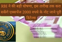 WhatsApp Image 2023 05 20 at 3.43.21 AM