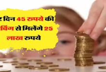  LIC Scheme अब इस स्कीम में हर दिन सिर्फ 45 रुपये का करें निवेश, मिलेगा 25 लाख का तगड़ा फंड जानिए LIC की स्कीम