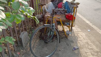 d15546dc 9146 48e3 abbd 204cae682244