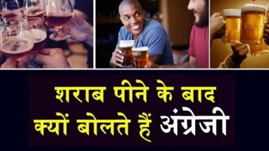 Wine रिसर्च पर पाया गया दावा शराब पीकर लोग अक्सर क्यू बोलते है फर्राटेदार इंग्लिश,जाने इसके पीछे की वजह 13 e52f821e 4548 4175 9ad2 6fd8f2e061ea
