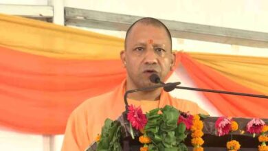 images 2023 05 30T132728.797