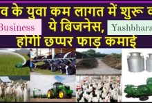 गांव के पढ़े-लिखे बेरोजगार करें ये 2 बिजनेस होगी छप्पर फाड़ कमाई जाने पूरी डिटेल्स