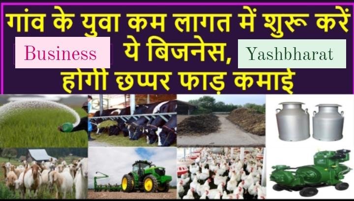 गांव के पढ़े-लिखे बेरोजगार करें ये 2 बिजनेस होगी छप्पर फाड़ कमाई जाने पूरी डिटेल्स 1 गांव के पढ़े-लिखे बेरोजगार करें ये 2 बिजनेस होगी छप्पर फाड़ कमाई जाने पूरी डिटेल्स