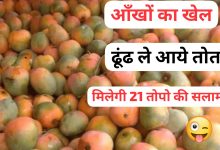 42a4d2fa 246f 46af b6c7 7a1d83fd21e0