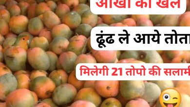 42a4d2fa 246f 46af b6c7 7a1d83fd21e0