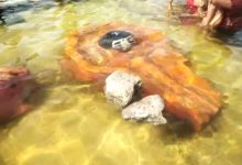 43583861 ef02 43f2 a888 a94594d31f28