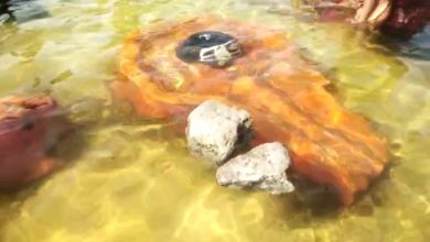 43583861 ef02 43f2 a888 a94594d31f28