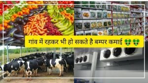 गांव के पढ़े-लिखे बेरोजगार करें ये 2 बिजनेस होगी छप्पर फाड़ कमाई जाने पूरी डिटेल्स 2 Business Ideas