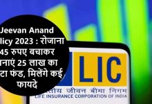 LIC अब ये सरकारी स्कीम में हर दिन सिर्फ 45 रुपये का करें निवेश,मिलेगा 25 लाख रुपये का फंड, जानें इस LIC स्कीम की पूरी डिटेल