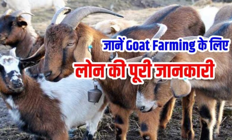 बकरी पालन योजना : पशुपालको की अब मालामाल कमाई, बकरी पालन के लिए मिल रही 90% तक की सब्सिडी, जाने पूरी जानकारी 1 OAnBFa1l1z1u0HUr 1024x575 1 1