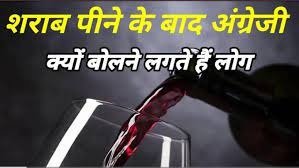 Wine शराब पीने के बाद इंसान बोलने लगेगा फर्राटेदार अंग्रेजी, ये हम नहीं कह रहे रिसर्च में हुआ खुलासा 3 WhatsApp Image 2023 06 11 at 3.23.35 AM 1
