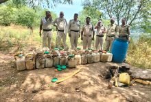 आबकारी दस्ते की दविश , जमीन के अंदर गड़े प्लास्टिक डिब्बो में 1155 किलोग्राम महुआ लाहन बरामद 11 a7eddd57 1662 4695 9750 9224a4e945d5 1