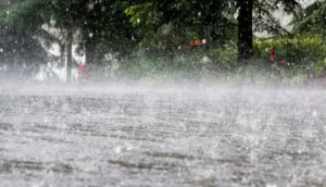 बताया जा रहा है अगले 24 घंटों में देश के इन 10 जिलों में होगी झमाझम बारिश होने की संभावना मौसम विभाग ने जारी किया अलर्ट जाने पूरी डिटेल्स 5 barish