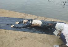 e489394b 9f34 47c4 a458 fded9c6be75d