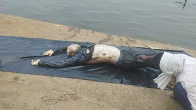 e489394b 9f34 47c4 a458 fded9c6be75d