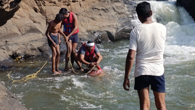 f0f24585 931a 46c5 9150 ebb40e8b2dc9