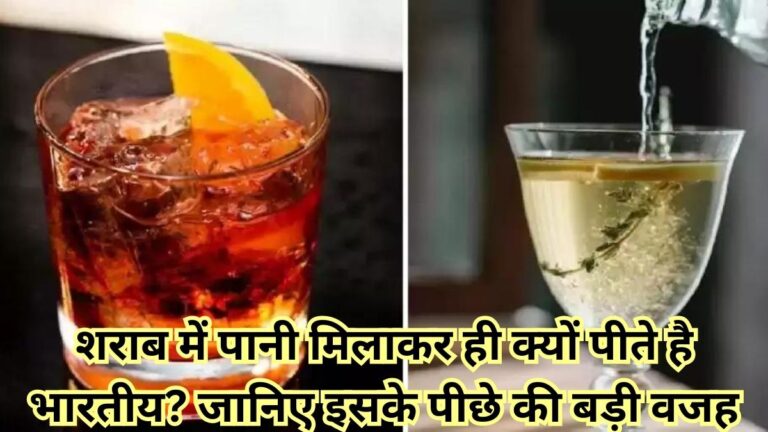आइये जानते है भारतीय लोग शराब में पानी मिलाकर क्यों पीते है? जाने इसके पीछे की बड़ी वजह 2 graminmedia.in 39 768x432 1