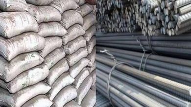 images 2023 06 05T081942.429