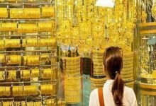 images 2023 06 11T091710.809