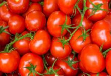 images 2023 06 27T233237.001