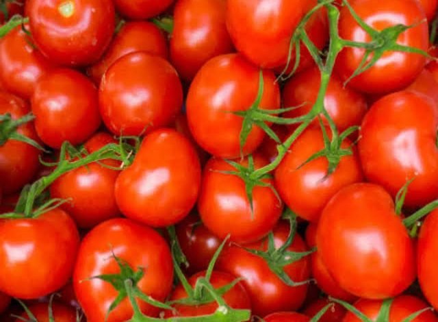 Tomato Price Increase:सरकार ने दी बड़ी खुशखबरी,टमाटर के रेट में आने वाली है भारी कमी,जानें पूरी खबर 1 images 2023 06 27T233237.001
