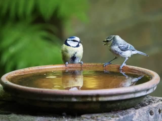 images 2023 06 29T091812.258