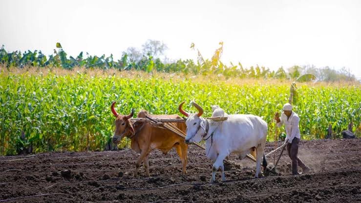 PM Kisan 14th Installment:इस दिन खाते में आएंगे पीएम किसान योजना के पैसे,सामने आई बड़ी जानकारी 1 images 2023 06 29T214205.096