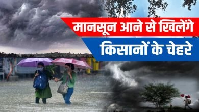 MP Weathe मध्य प्रदेश में अब किसानों के लिए खुशखबरी लगातार झमाझम बारिश के दौर से प्रदेश के किसान खरीफ की बुआई कर सकेंगे
