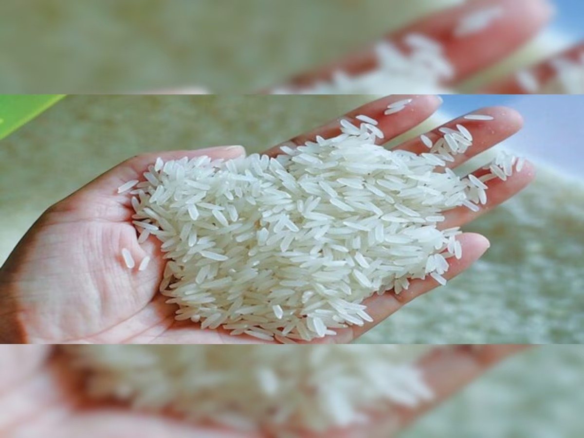 Rice export ban 2023 नॉन बासमती चावल के एक्सपोर्ट पर रोक की तैयारी, जाने पूरी खबर 2 552a520b a80e 4eab bc79 01dcda322925