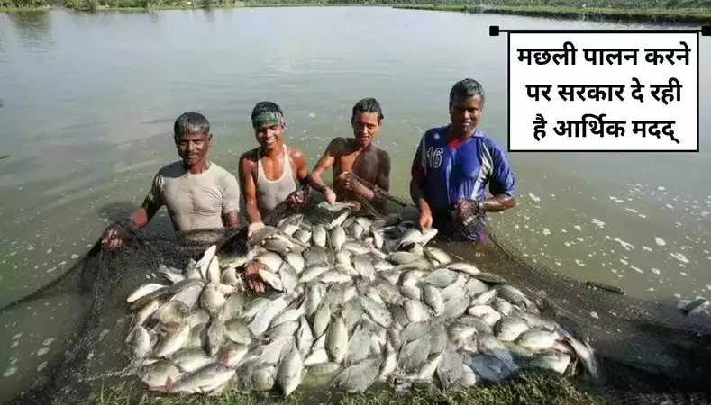 Fish Farming Details In hindi: मछली पालन का बिजनेस करने पर सरकार दे रही है पैसे, इस योजना के तहत मिलेगा लाभ जानिए पूरी जानकारी 2 7aeae9ff05c915bd1c4fcc0c2064f7a7