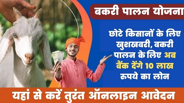 Goat Farming Loan 2023 छोटे किसानो के लिए फिर एक बार आई खुशखबरी, अब सरकार देगी किसानो को 10 लाख रुपये का लोन, यहाँ देंगे ऑनलाइन की प्रक्रिया 3 Goat Farming Loan