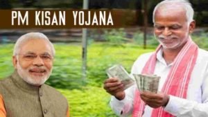 PM Kisan Scheme केंद्र सरकार की प्रधानमंत्री किसान सम्मान निधि योजना में कुछ किसानों को मिलेंगे 4000 रुपये जाने डिटेल्स 3 PM Kisan Scheme केंद्र सरकार की प्रधानमंत्री किसान सम्मान निधि योजना में कुछ किसानों को मिलेंगे 4000 रुपये जाने डिटेल्स