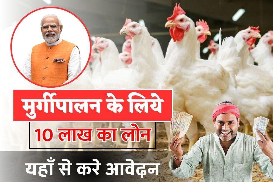 Poultry Farming इस बिजनेस के लिए सरकार दे रही है 10 लाख का लोन, जी छोटे खर्च में होगा बड़ा मुनाफा यहाँ से जाने पूरी जानकारी 4 WhatsApp Image 2023 07 08 at 10.38.32 PM 2