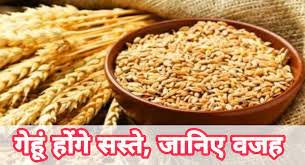 Wheat Price today : सस्ता होने जा रहा है गेहूं-चावल, इनकी कीमत में कमी लाने के लिए सरकार उठाएगी ये कदम 2 download 2023 07 08T124304.719