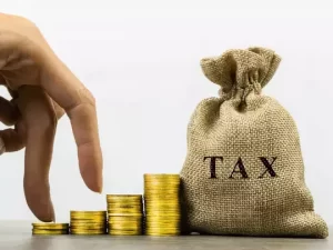 Income Tax आपकी किस इनकम पर नहीं लगता 1 रुपए का भी टैक्स? क्या होते हैं इससे जुड़े नियम और शर्तें जाने पूरी डिटेल्स 4 navbharat times 96849144