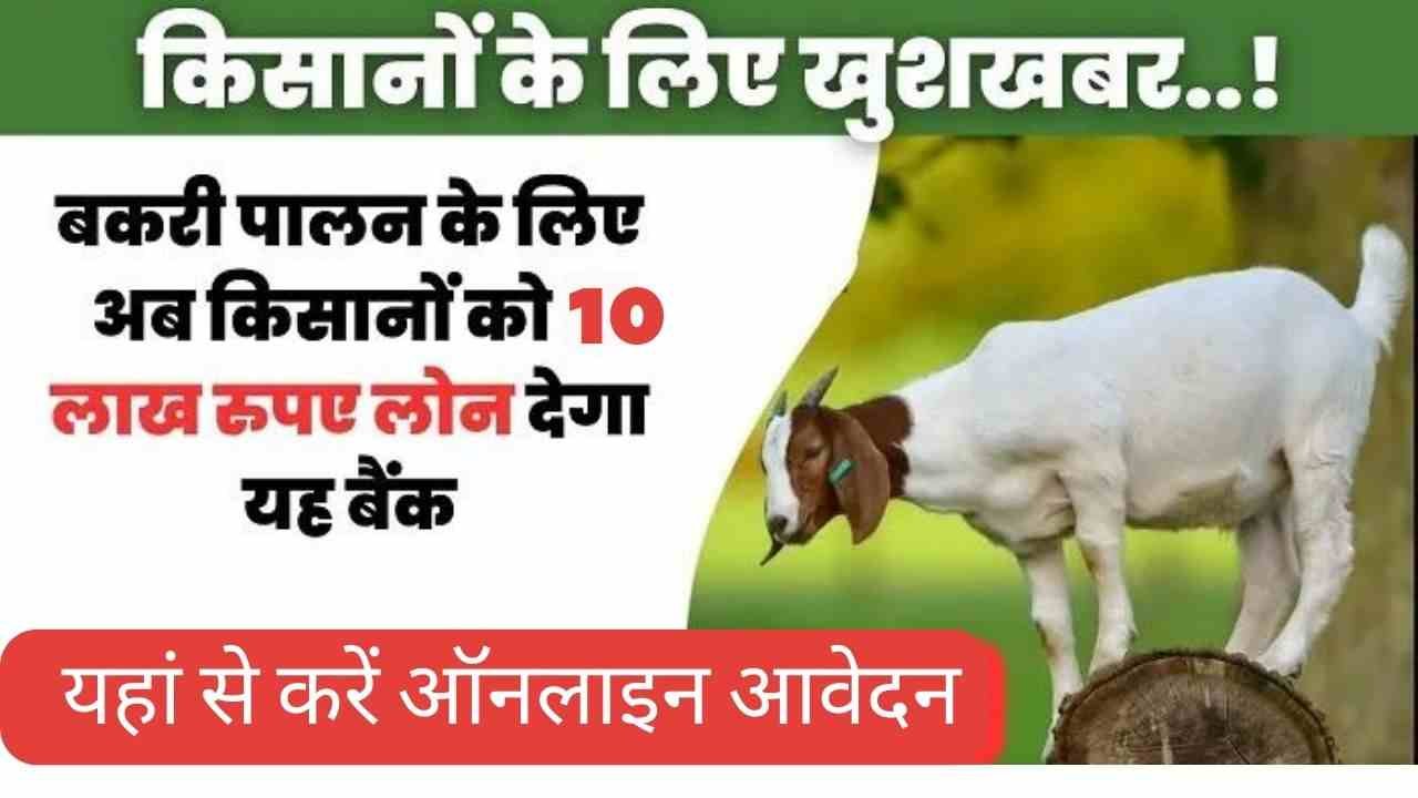 Goat Farming Loan 2023 छोटे किसानो के लिए फिर एक बार आई खुशखबरी, अब सरकार देगी किसानो को 10 लाख रुपये का लोन, यहाँ देंगे ऑनलाइन की प्रक्रिया 1 हिसार कृषि विश्वविद्यालय प्रवेश 2023 29 1