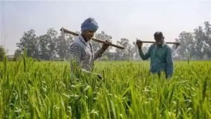Kisan Credit Card Scheme सरकार ने किसानो की कर दी बल्ले बल्ले इस स्किम में मिल रहा इतना सस्ता लोन यहां पर जाने आवेदन करने का तरीका 2 WhatsApp Image 2023 08 13 at 11.47.37 AM