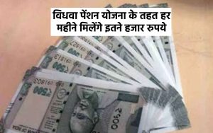 Vidhwa Pension Yojana विधवां महिला के चहेरे पर आई खुशियों की बौछार सरकार ने दिया अपडेट अब मिलेगा तगड़ा लाभ 3 WhatsApp Image 2023 09 12 at 11.22.01 AM 1