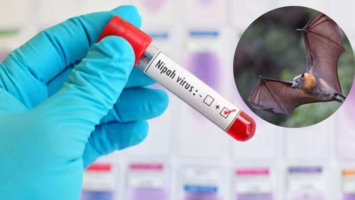 अब इस वायरस से फैला देशभर में खौफ! WHO की चेतावनी जारी जाने रोकथाम के तरीका नहीं तो दुनिया में फिर मचेगी तबाही