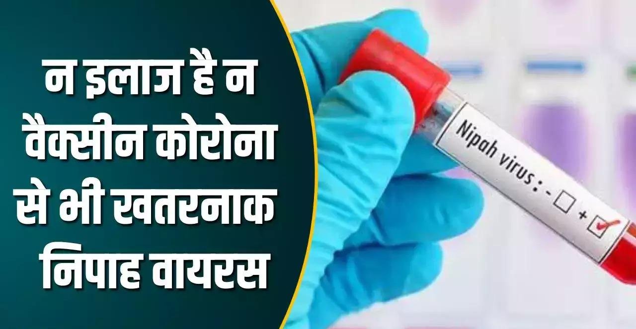 NIPAH VIRUS निपाह वायरस ने बढ़ाई चिंता लगातार मौत के बाद मचा हड़कंप सरकार ने लिया बड़ा फैसला 24 सितंबर तक स्कूल-कॉलेज किये बंद 1 NIPAH VIRUS निपाह वायरस ने बढ़ाई चिंता लगातार मौत के बाद मचा हड़कंप सरकार ने लिया बड़ा फैसला 24 सितंबर तक स्कूल-कॉलेज किये बंद