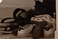 थाने में लगी जूतों की लाइन , दुर्गा पंडाल के बाजू में जुआ फड़ पर छापा,12 गिरफ्तार ,17 नग मोबाईल व 87 हजार कैश जप्त 11 Screenshot 2023 10 20 12 34 02 85 92460851df6f172a4592fca41cc2d2e6