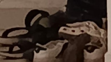 Screenshot 2023 10 20 12 34 02 85 92460851df6f172a4592fca41cc2d2e6