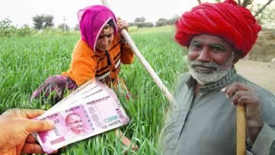 PM Kisan Yojana चुनावी सरगर्मियों में शिवराज सरकार ने किसानों को दिया तोहफा, इन किसानो के अकाउंट में आएंगे 4,000 रुपये