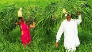 PM Kisan Yojana चुनावी सरगर्मियों में शिवराज सरकार ने किसानों को दिया तोहफा, इन किसानो के अकाउंट में आएंगे 4,000 रुपये 2 WhatsApp Image 2023 10 13 at 1.05.39 PM1