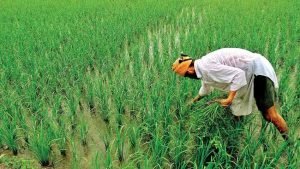 PM Kisan Yojana चुनावी सरगर्मियों में शिवराज सरकार ने किसानों को दिया तोहफा, इन किसानो के अकाउंट में आएंगे 4,000 रुपये 3 WhatsApp Image 2023 10 13 at 1.06.02 PM1